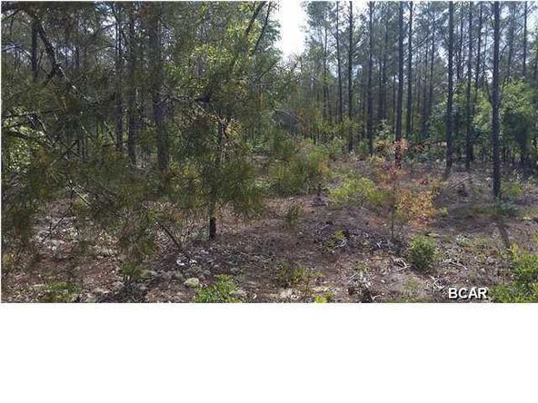 Amoshayes Trail: Amoshayes Trail, Chipley, FL 32428